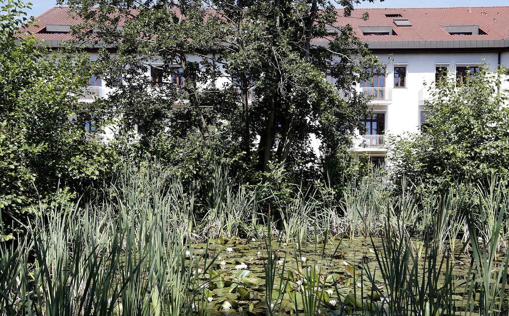 Tagungs- Und Bildungszentrum Steinbach/taunus 3*